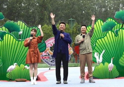 爆料老挝山长视频大全最新,最新视频大全背后的神秘面纱